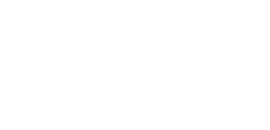 Web yazılım